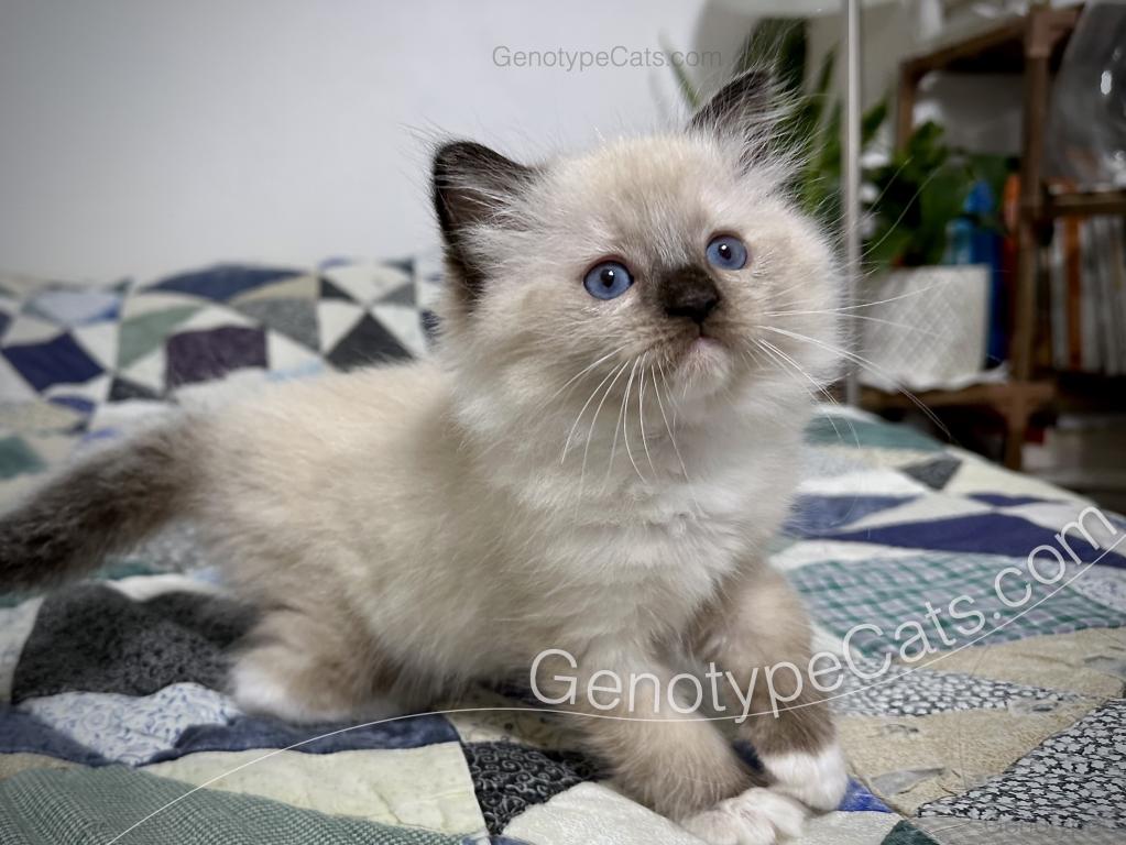Millicent photo 31