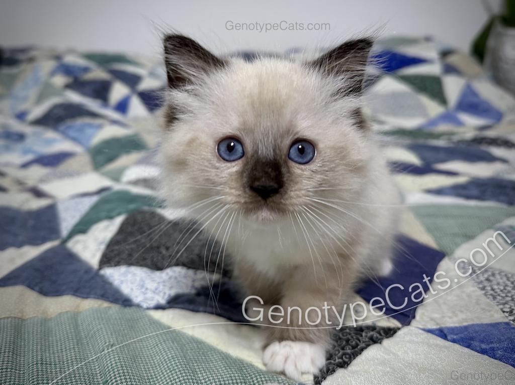 Millicent photo 34