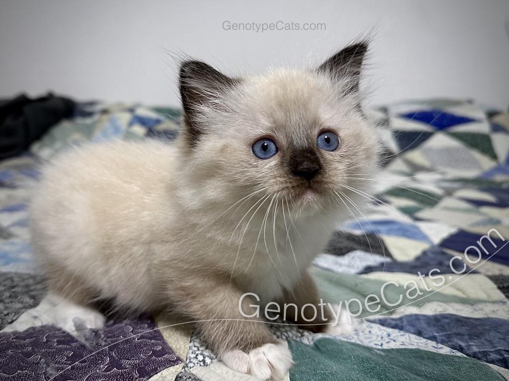 Millicent photo 17