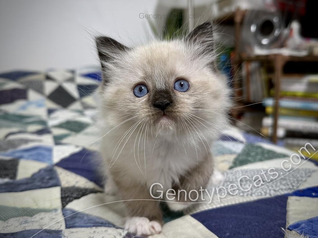 Millicent photo 24
