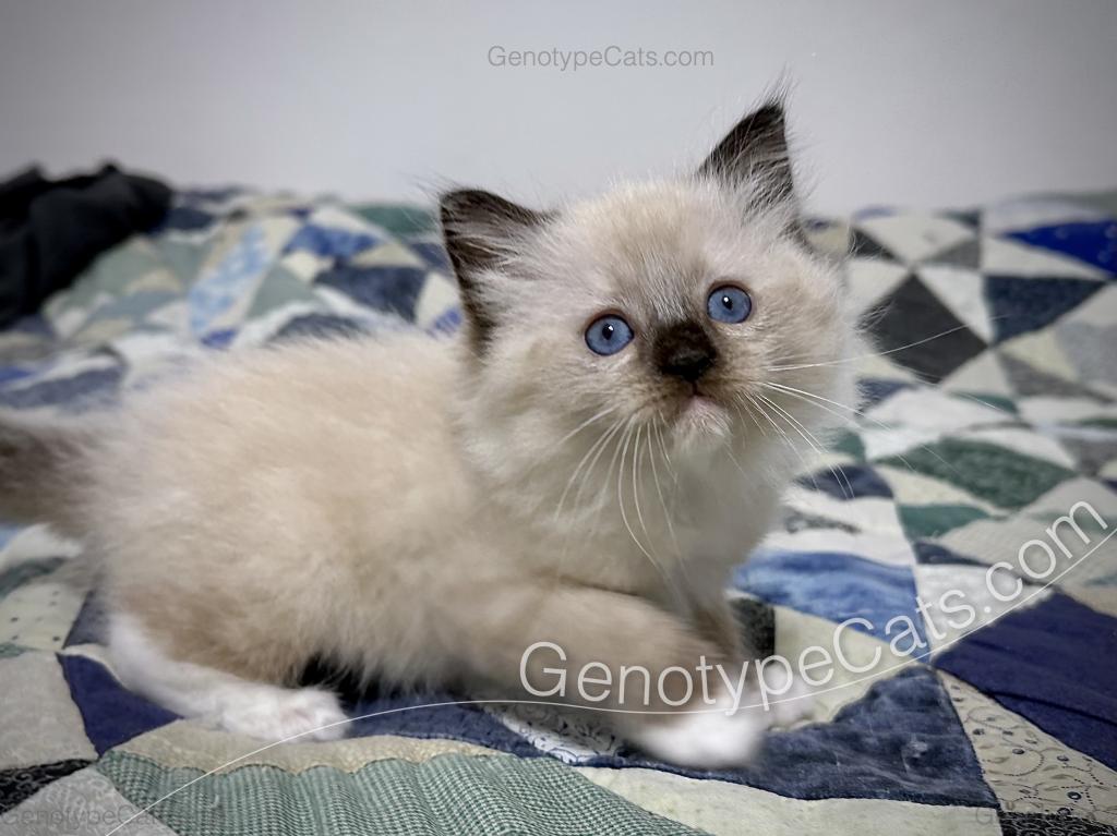 Millicent photo 22