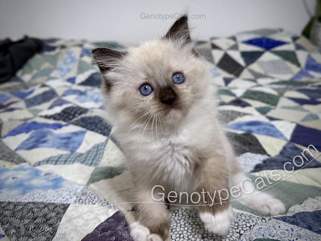 Millicent photo 19