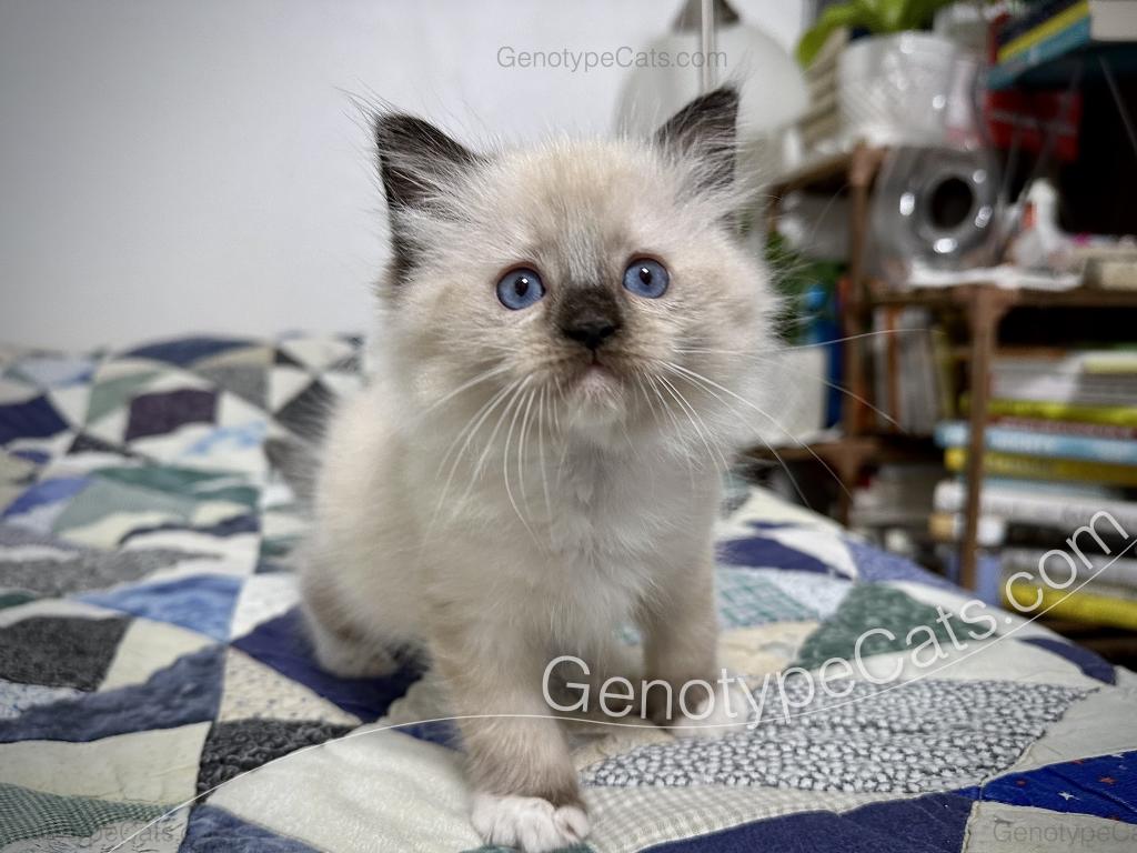Millicent photo 26