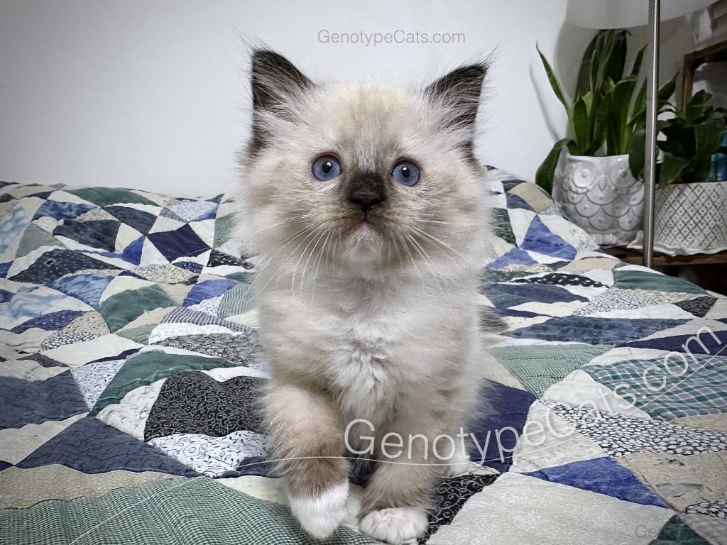Millicent photo 33