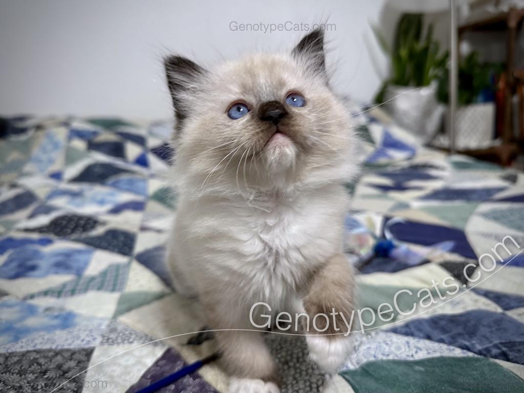 Millicent photo 6