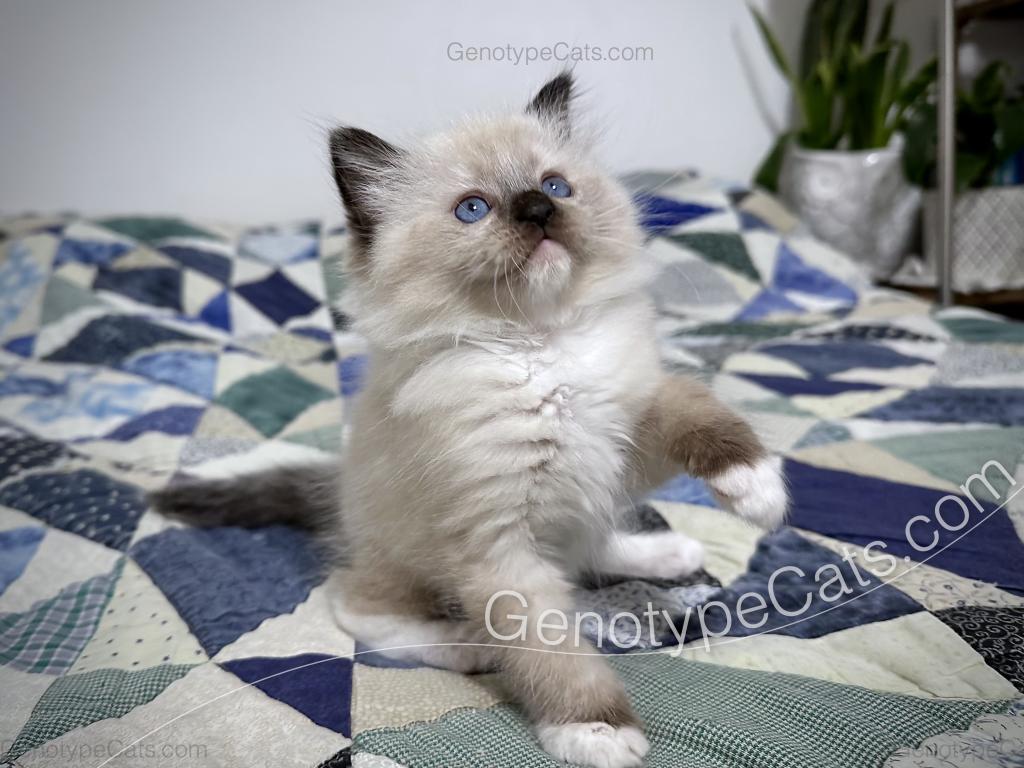 Millicent photo 10