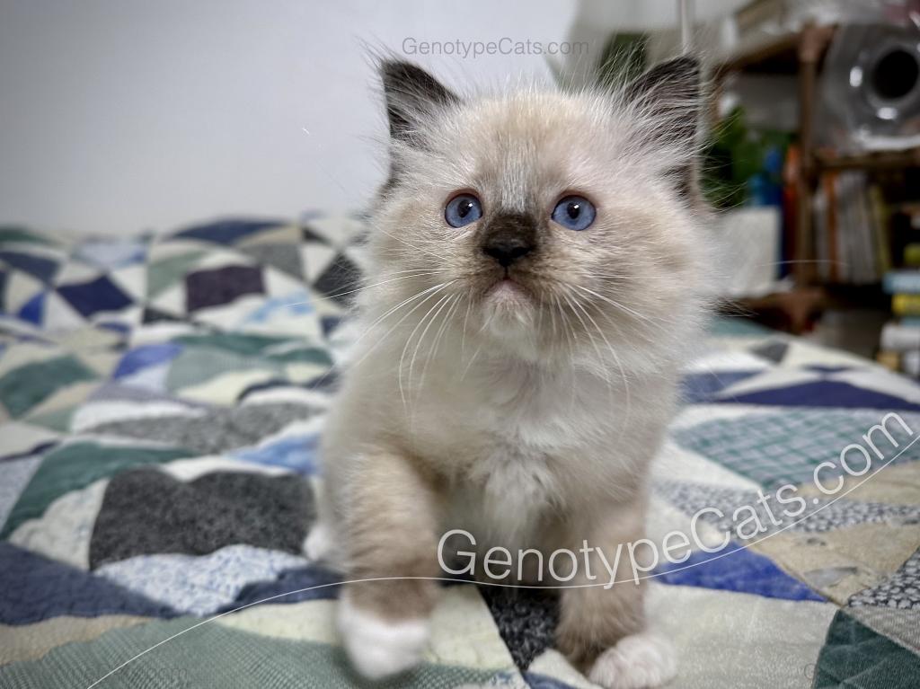Millicent photo 32
