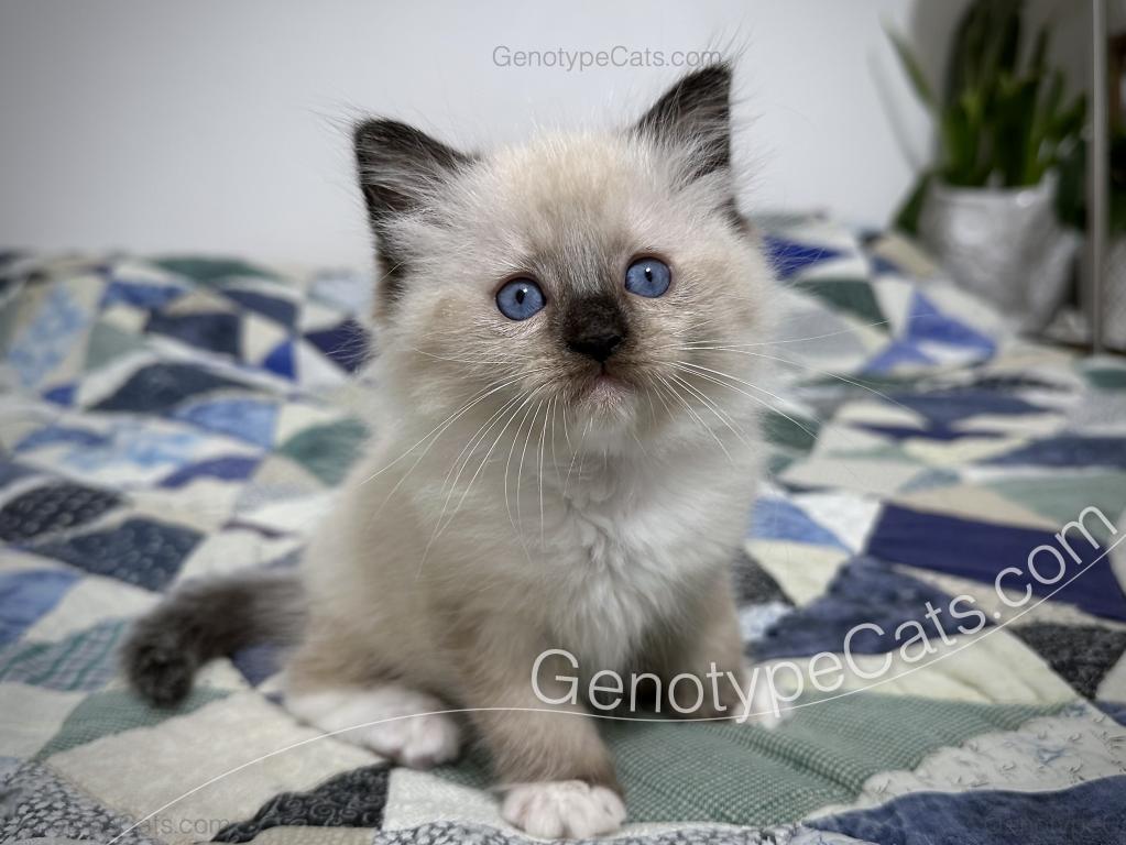 Millicent photo 2