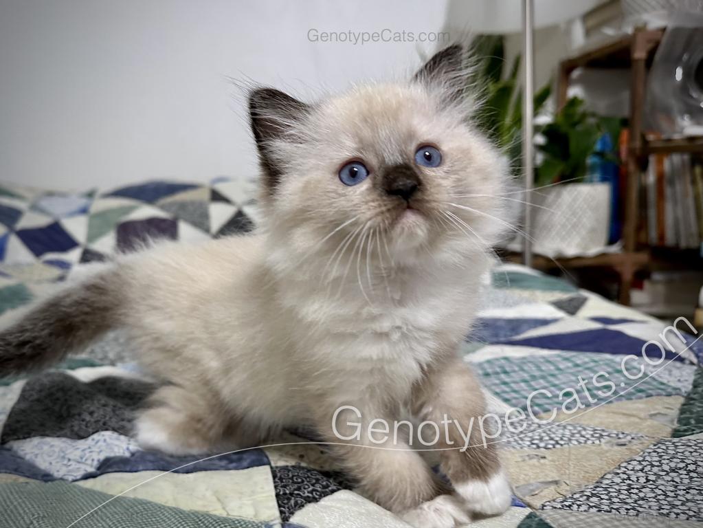 Millicent photo 30