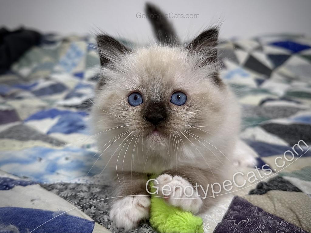 Millicent photo 5