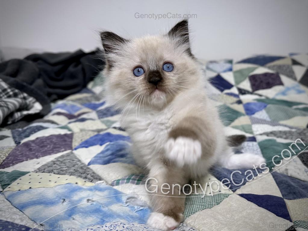 Millicent photo 14