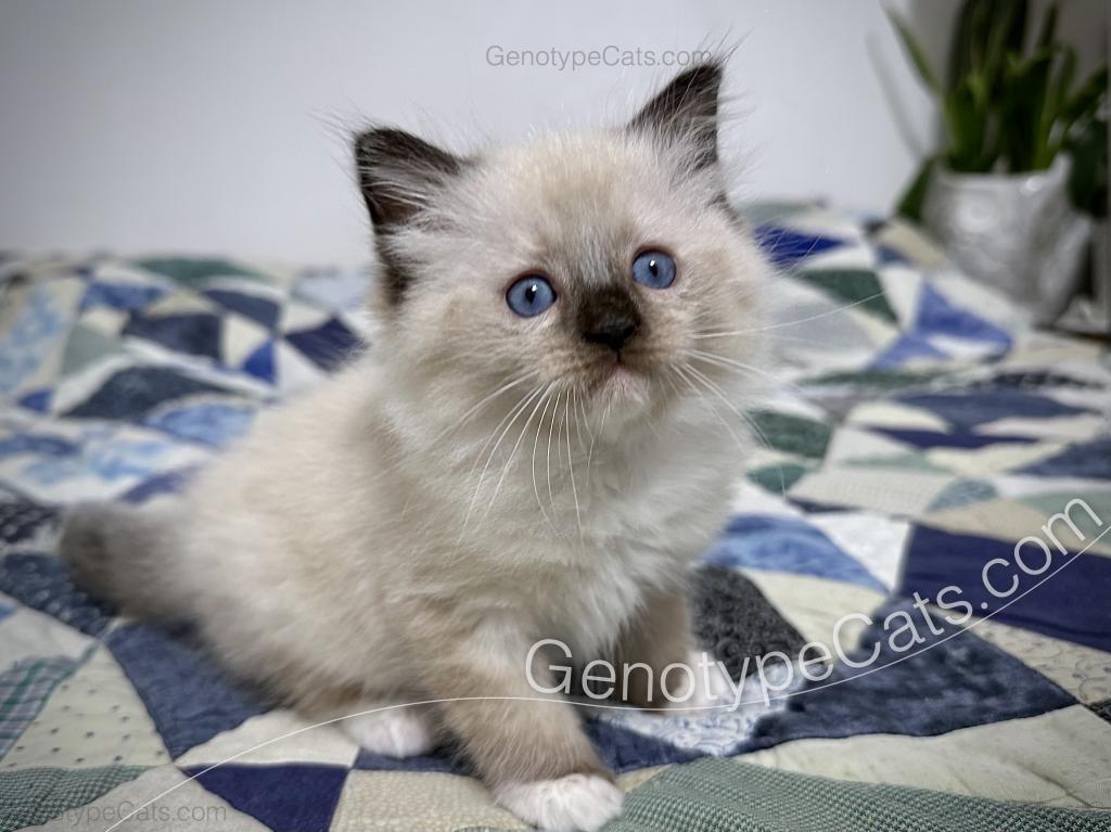 Millicent photo 7