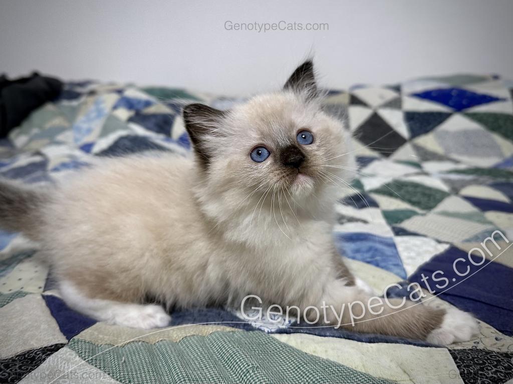 Millicent photo 23