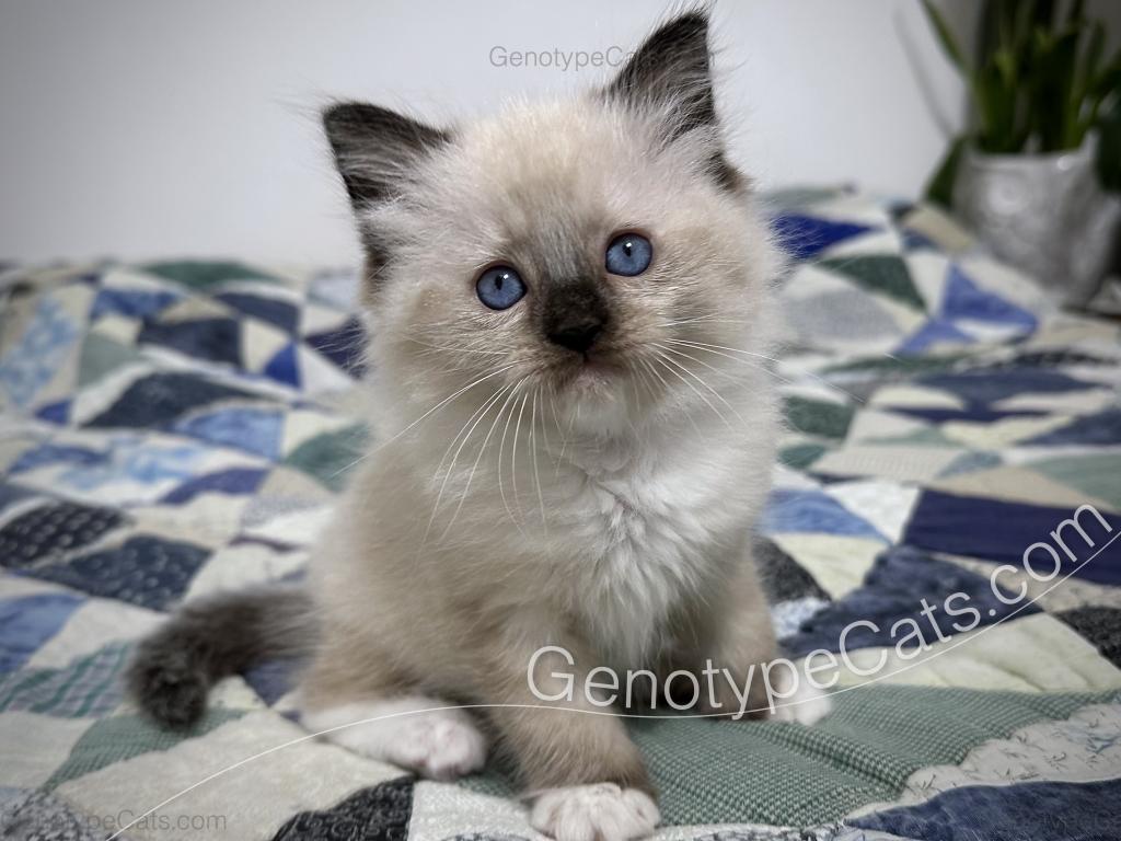 Millicent photo 1