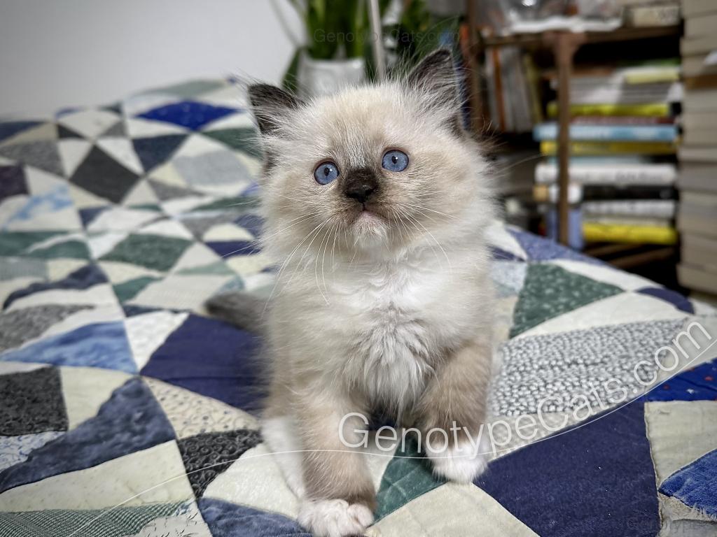 Millicent photo 25