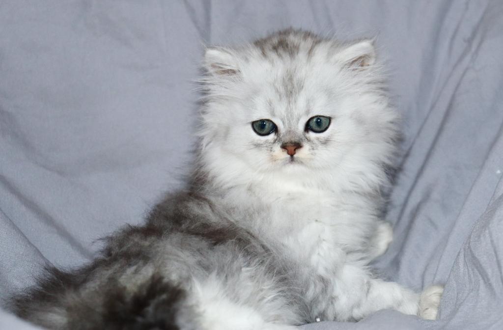Luka photo 6