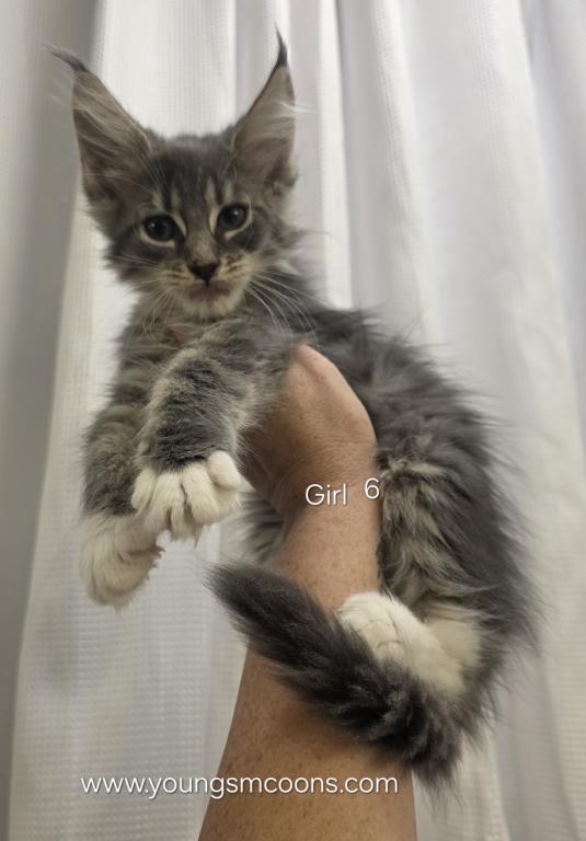 Girl 6 photo 1
