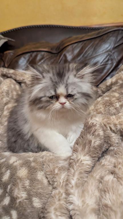 Trudy's Babies photo 2