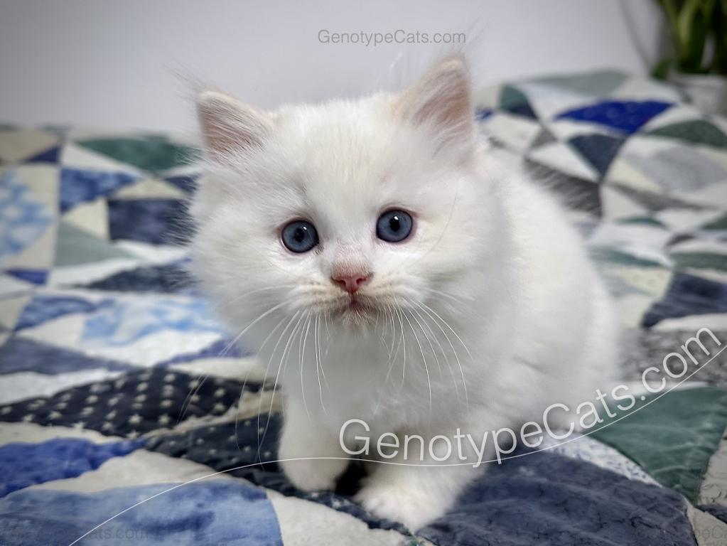 Emeric photo 19