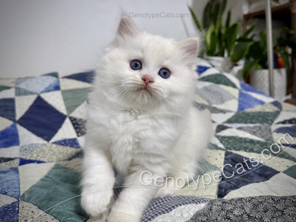 Emeric photo 34