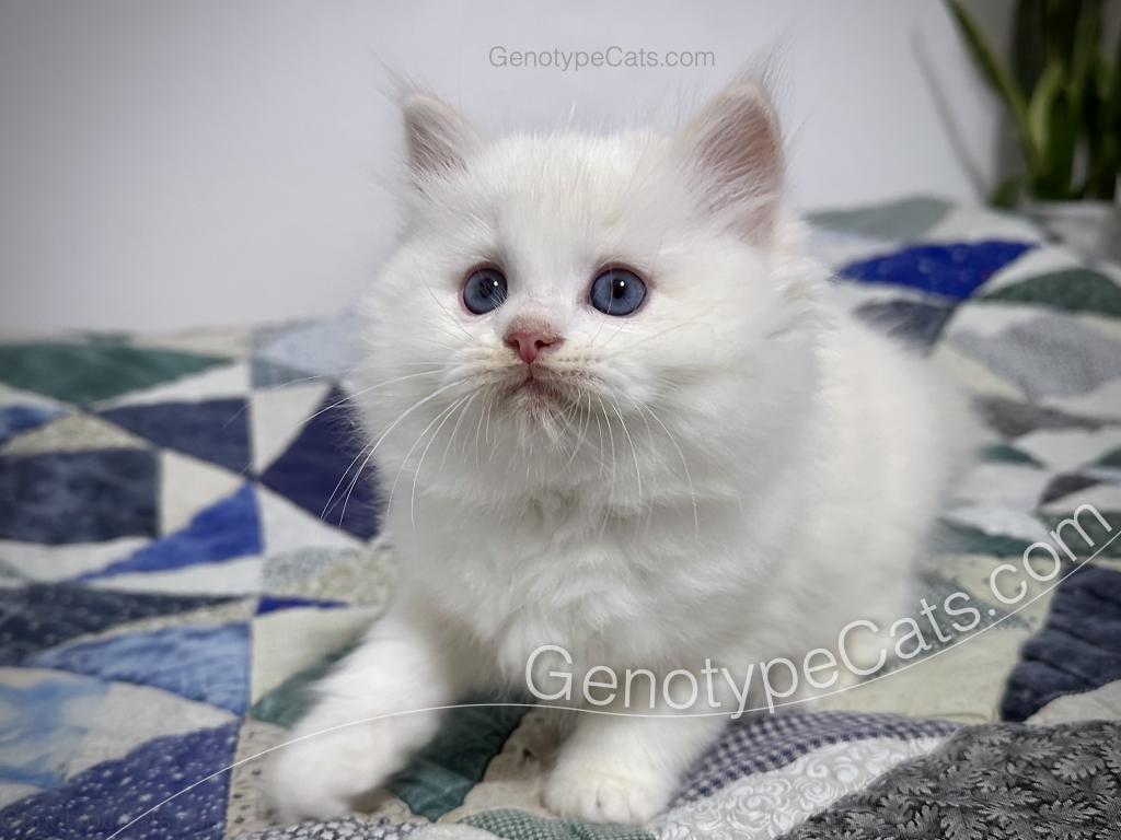 Emeric photo 32