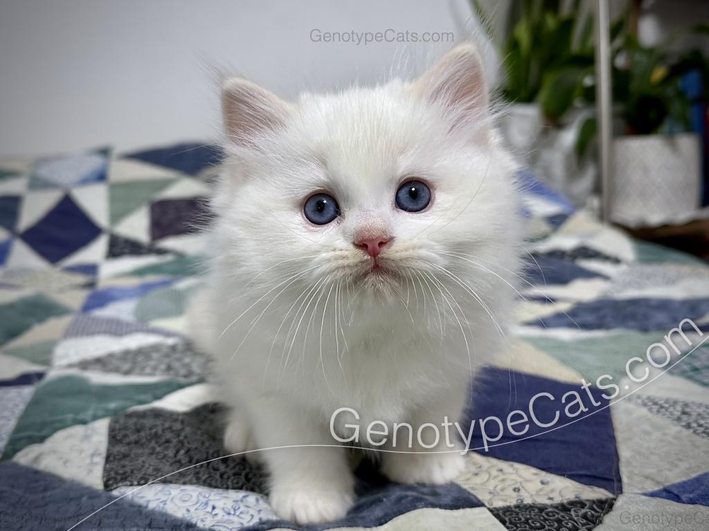 Emeric photo 39