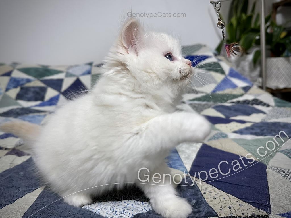 Emeric photo 28