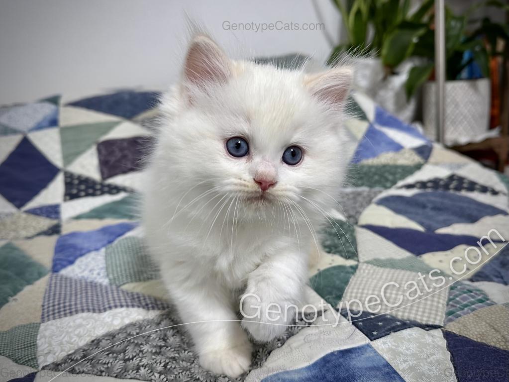 Emeric photo 35