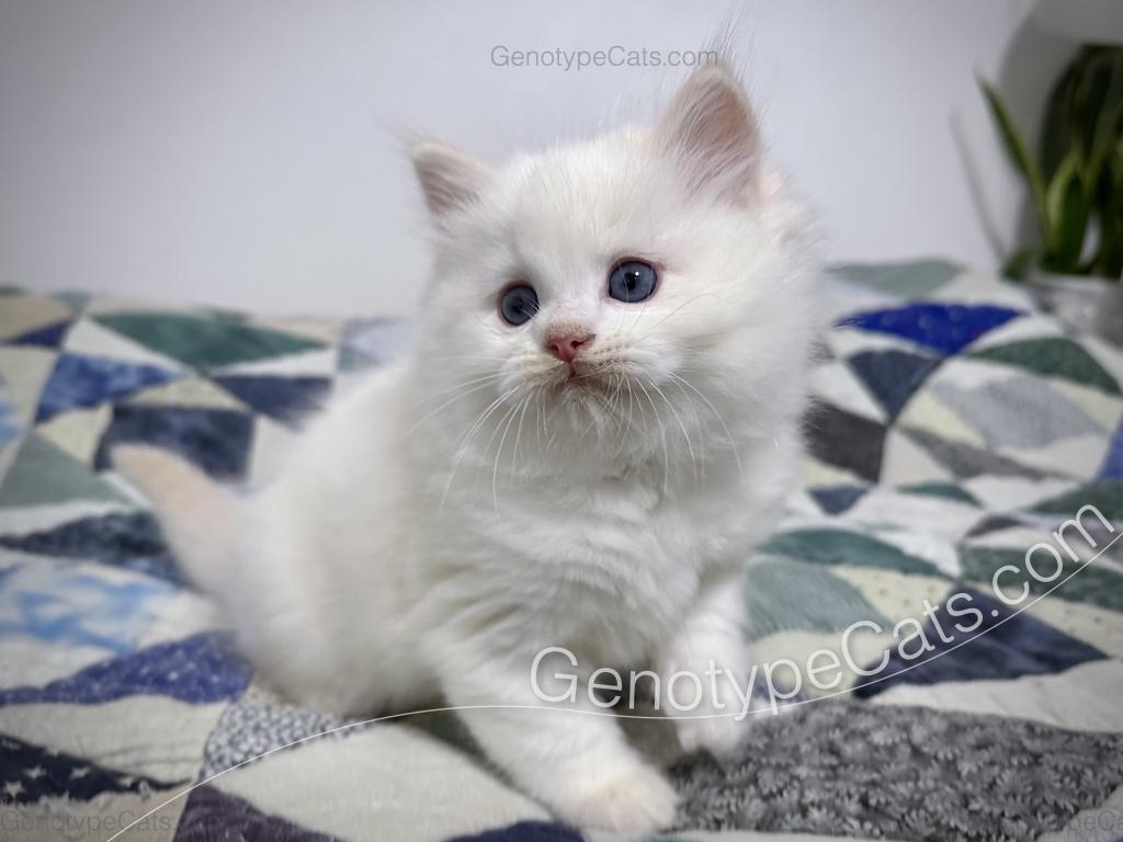Emeric photo 14
