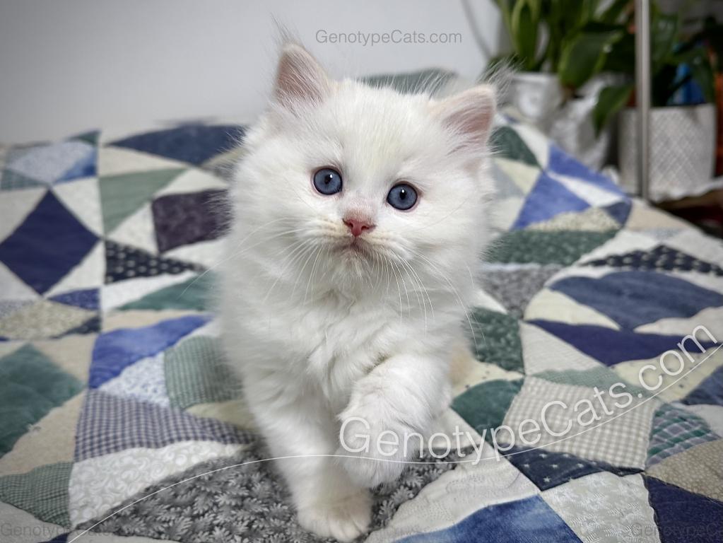 Emeric photo 36