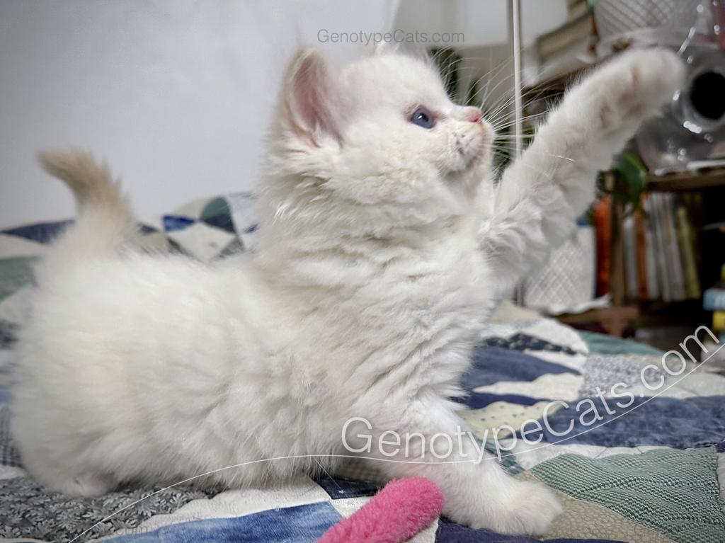 Emeric photo 15