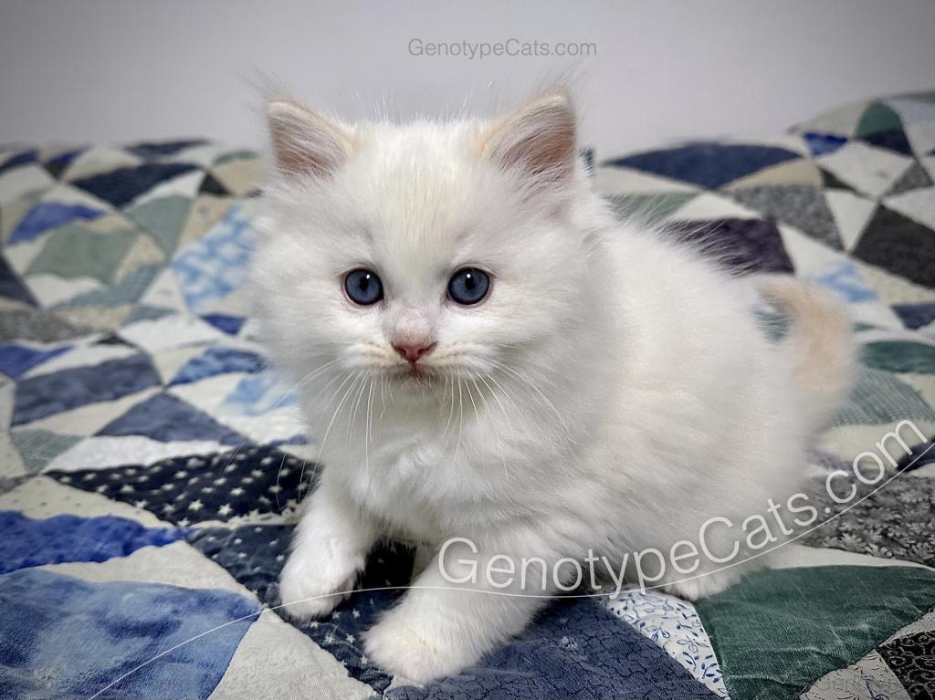 Emeric photo 20