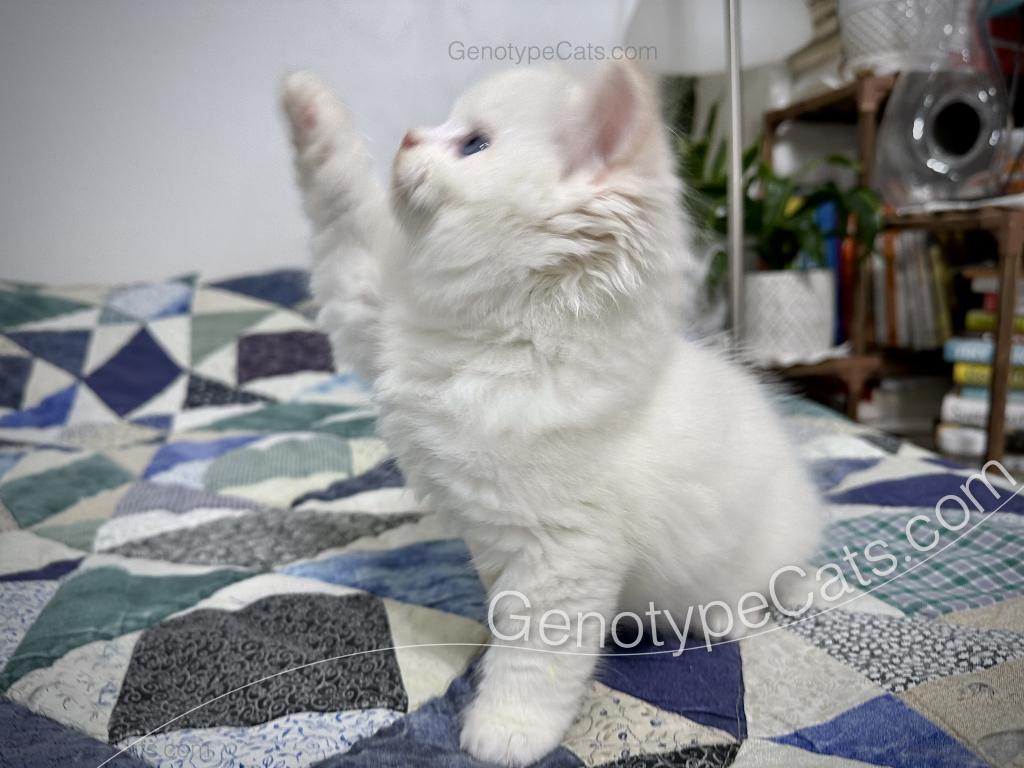 Emeric photo 17