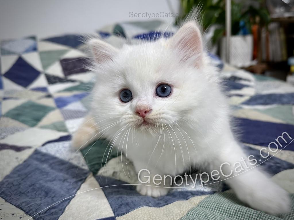 Emeric photo 37