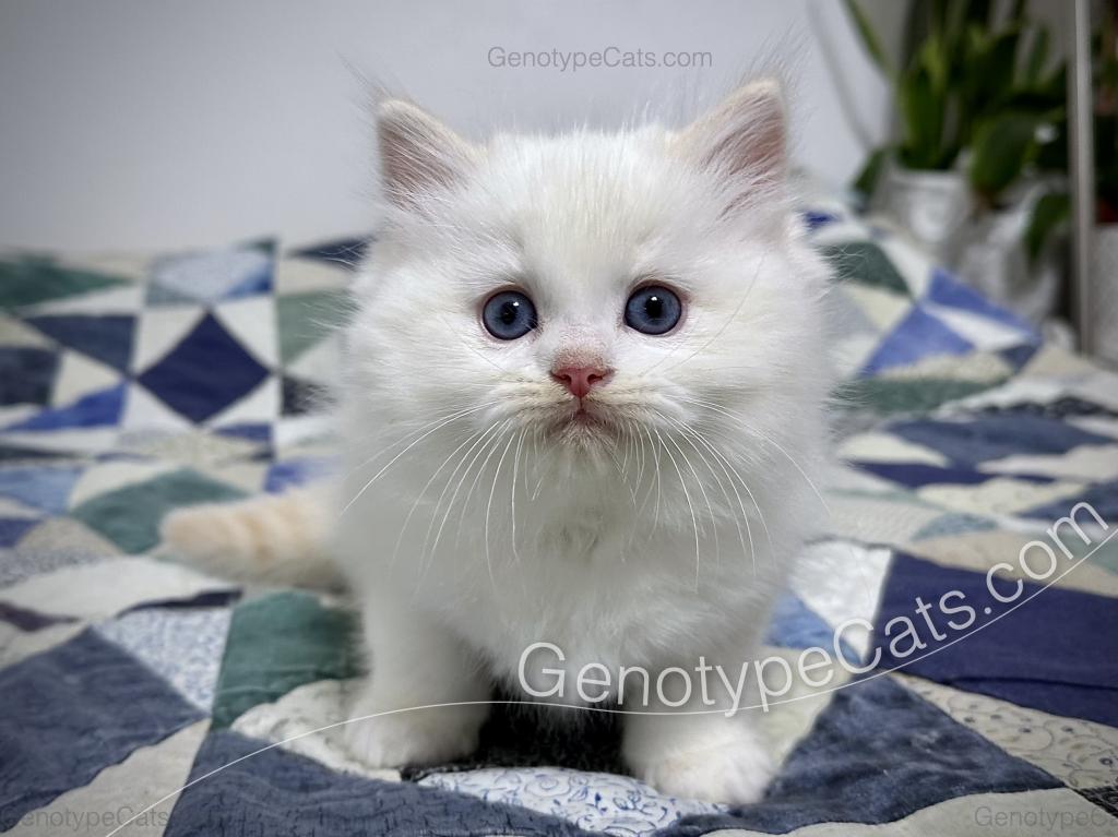 Emeric photo 38