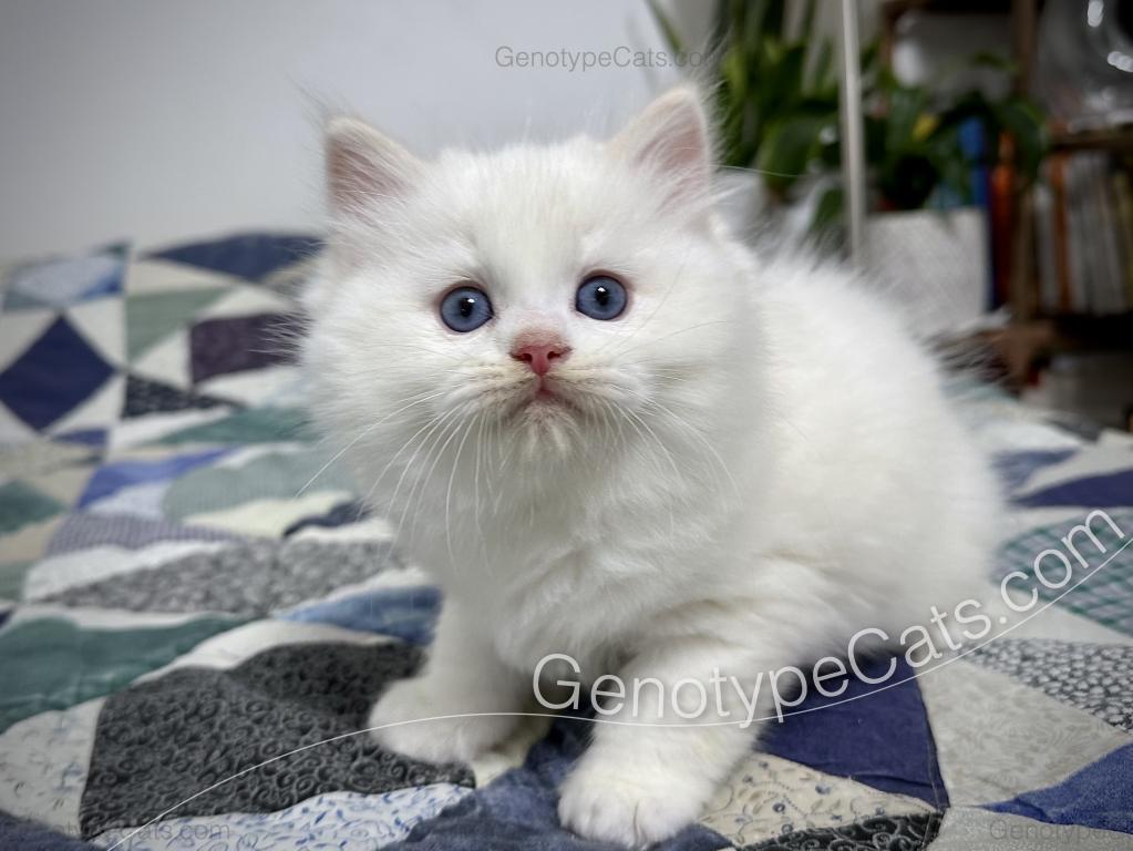 Emeric photo 18