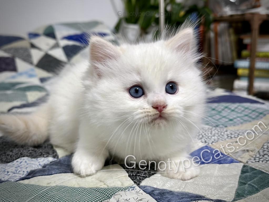 Emeric photo 8