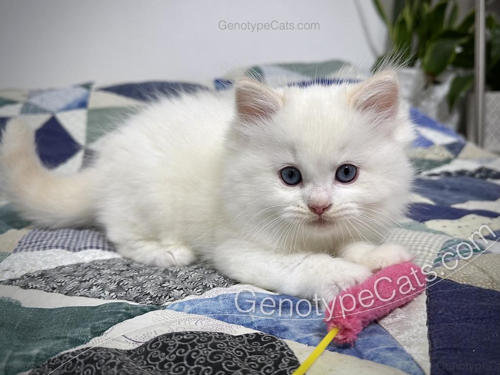 Emeric photo 16