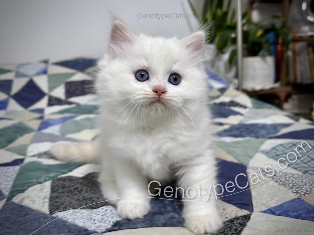 Emeric photo 41