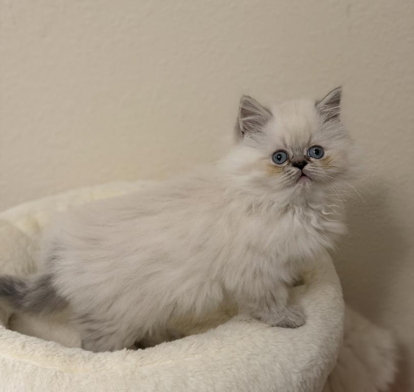Ash photo 8