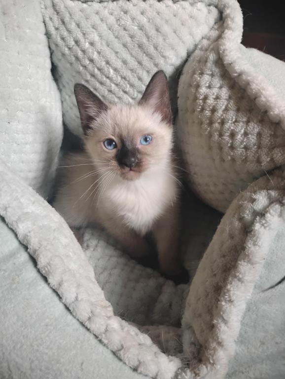 Perry's Baby photo 2