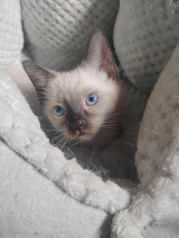 Perry's Baby photo 5