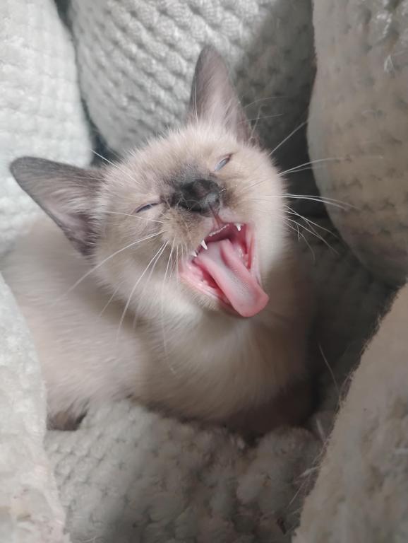 Perry's Baby photo 9