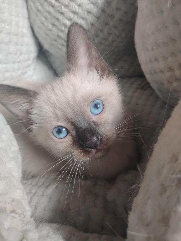 Perry's Baby photo 6
