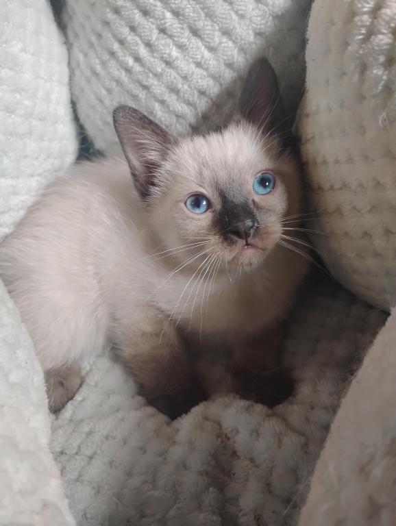 Perry's Baby photo 10