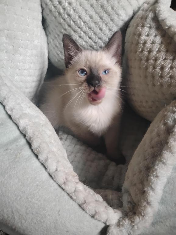 Perry's Baby photo 4