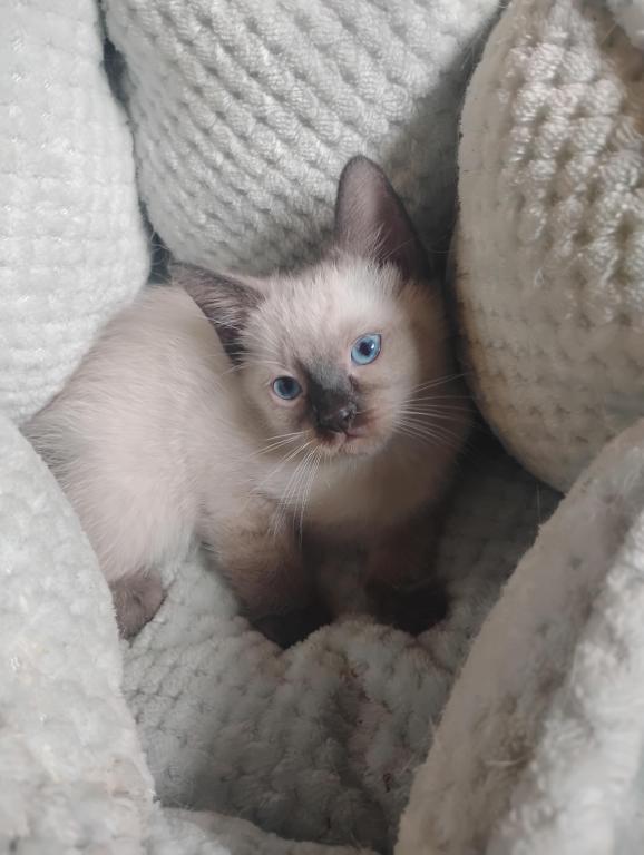 Perry's Baby photo 8