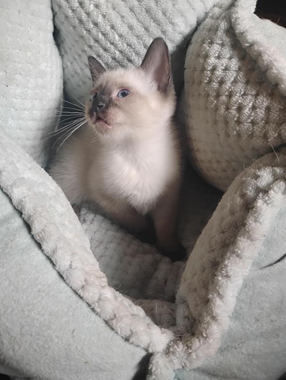 Perry's Baby photo 3