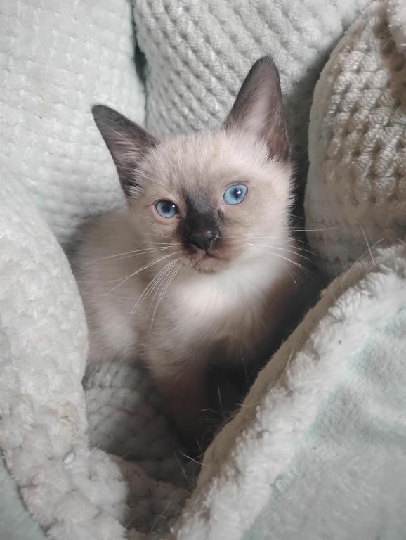 Perry's Baby photo 7