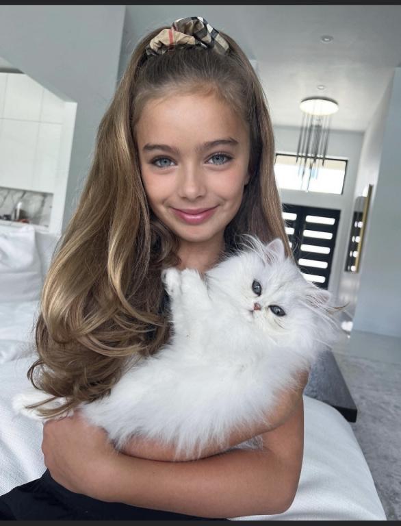 Beautiful Chinchilla Silver Persians photo 16